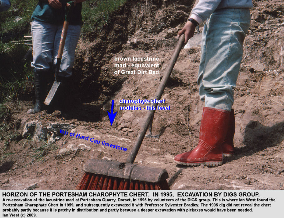 Details of excavation of the marl which contains the Portesham Charophyte Chert at Portesham Rocket Quarry, Dorset, in 1995