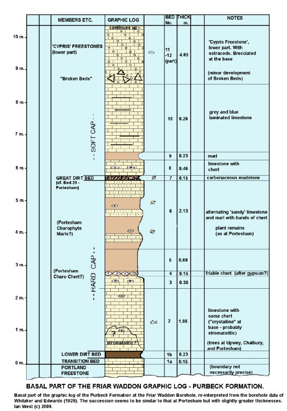 Re-interpreted graphic log of the basal part of the Purbeck Formation in the Friar Waddon Borehole, Dorset, of Whitaker and Edwards (1926)