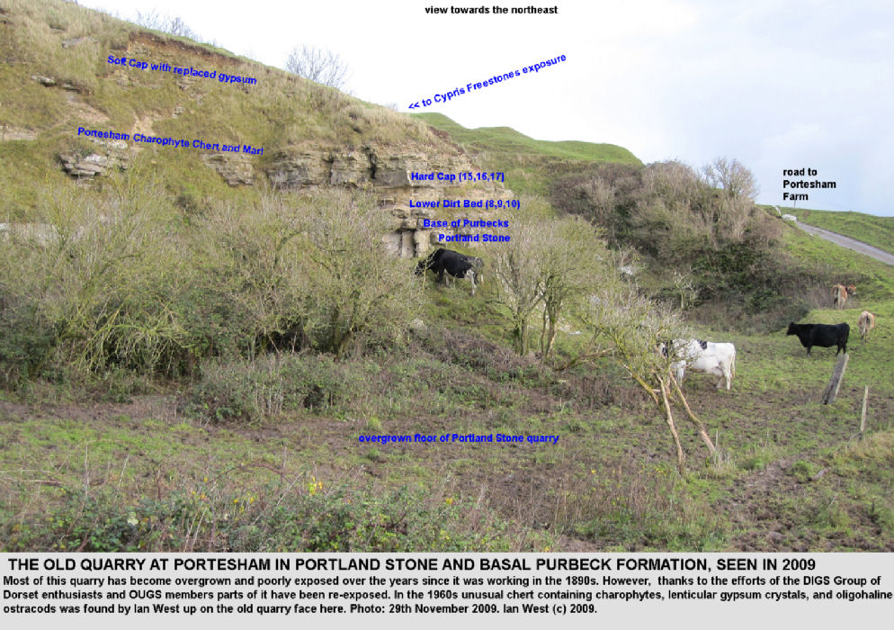 A general view of the the Portesham Rocket Quarry, Dorset, with exposures of Portland and basal Purbeck strata, 2009