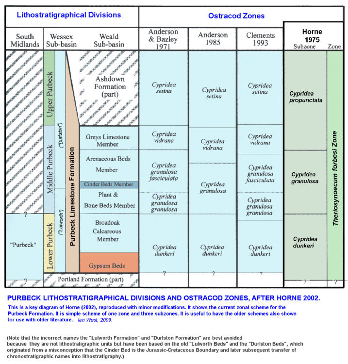 Ostracod Zones of the Purbeck Formation of the Dorset and Sussex sub-basins, modified after Horne (2002)