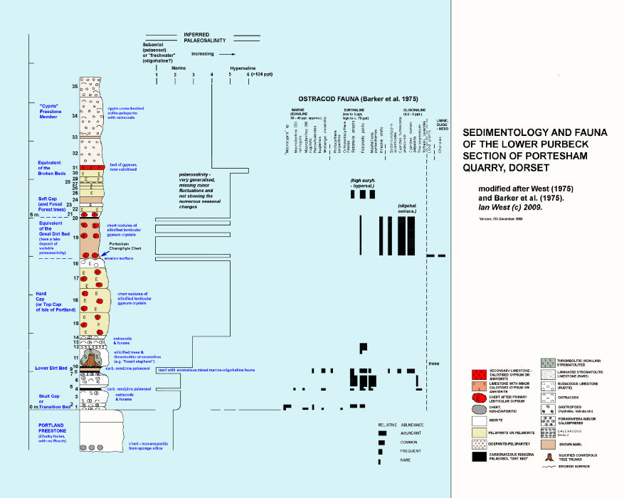 Log of sedimentology and fauna of the Lower Purbeck strata in the main or lower part of Portesham Rocket Quarry, Dorset