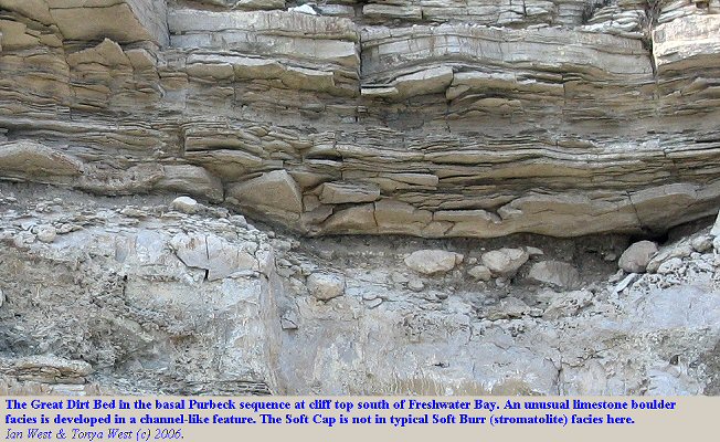 Boulders of limestone in a channel-like feature, Great Dirt Bed, south side of Freshwater Bay, Isle of Portland, Dorset 