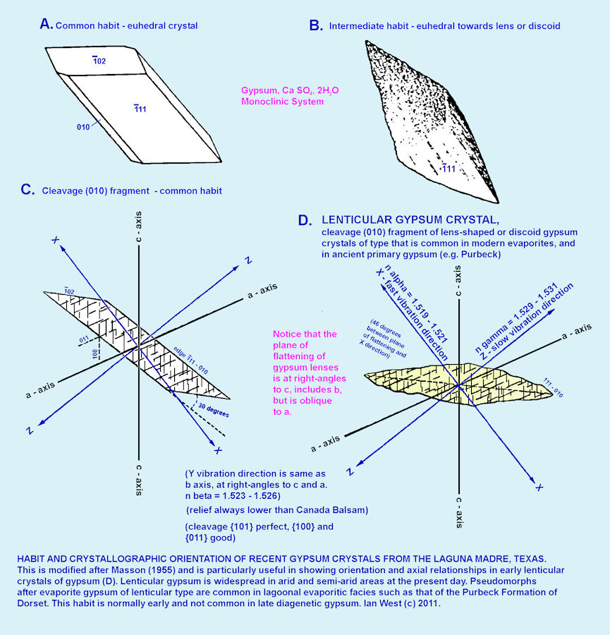 Crystallography and habit of lenticular or discoidal crystals of gypsum