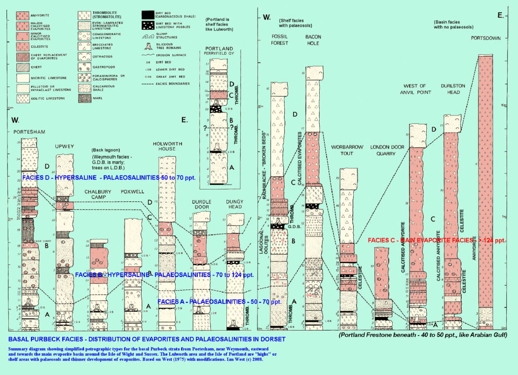 The petrographic lithology of the basal Purbeck Formation in Dorset shown in a series of graphic logs