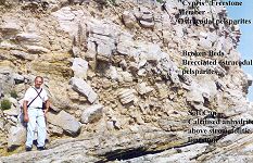 Broken Beds at the Fossil Forest