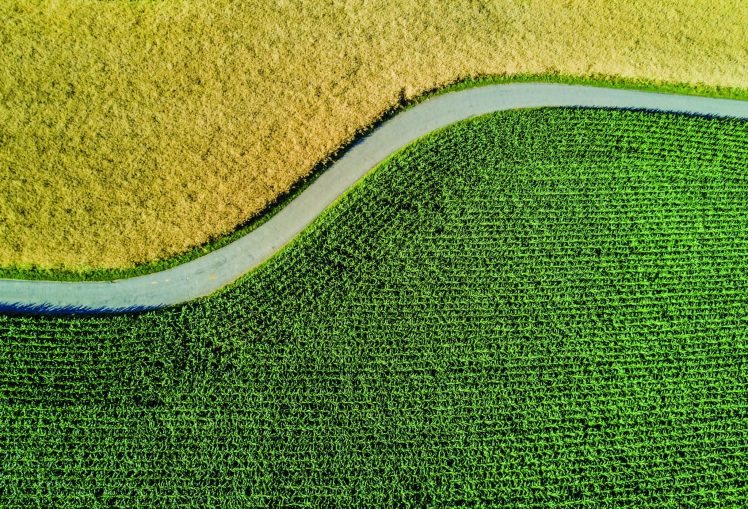 Aerial view of road through fields