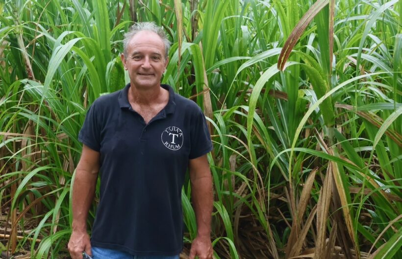 Laurent Masseron amid his indigenous cane