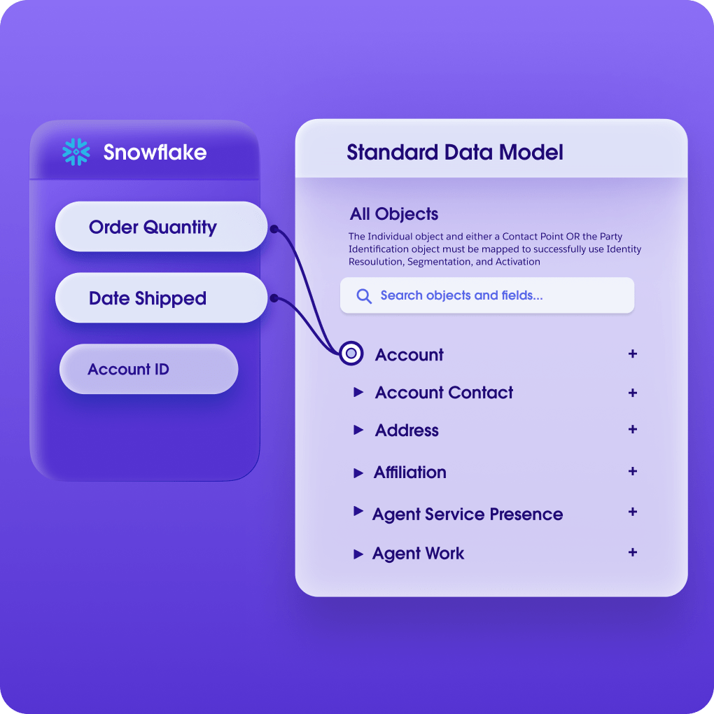 Data from a Snowflake bubble flowing into a Standard Data Model bubble.