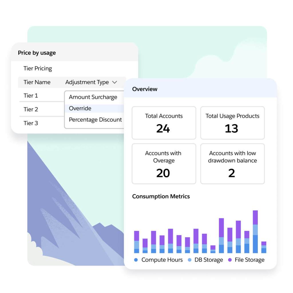 A usage overview shows total accounts, usage products, overages, and low drawdown balance as well as usage metrics.