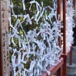 鎌倉鶴岡八幡宮で引いたおみくじが大凶だった件