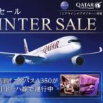 カタール航空がお得！天然温泉平和島の深夜パックも無料で利用可