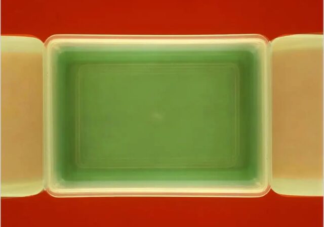 featured image for post: Elton John Is a Fan of this Richard Caldicott Tupperware Photo