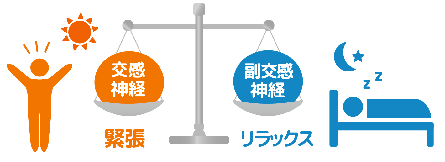 自律神経（交感神経・副交感神経）不妊とのかかわりについて