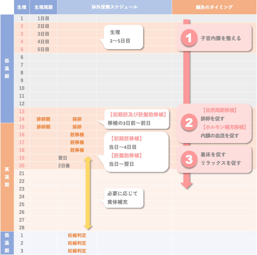 移植（初期胚及び胚盤胞の場合）
着床鍼灸を受ける時期について