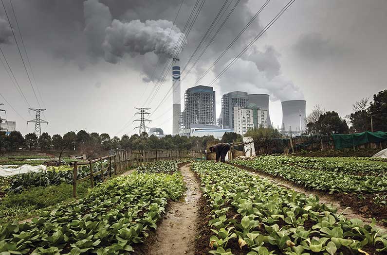 coal pollution and crops