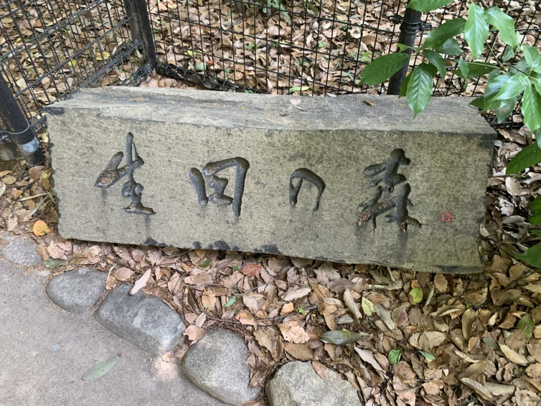 関西旅③　兵庫県神戸・生田の森