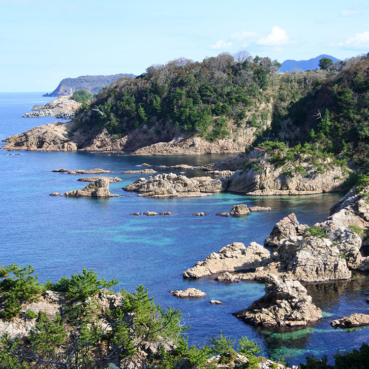 菜種五島(なたねごとう)と隣接した城原（しらわら）海岸。いろんな時代の地形や地質がそろう、「地形・地質の博物館」=鳥取県岩美町