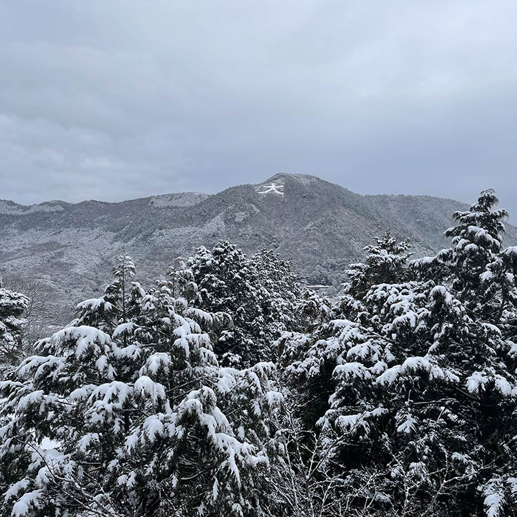 雪の箱根でもらった旅のヒント　宇賀なつみがつづる旅(42)