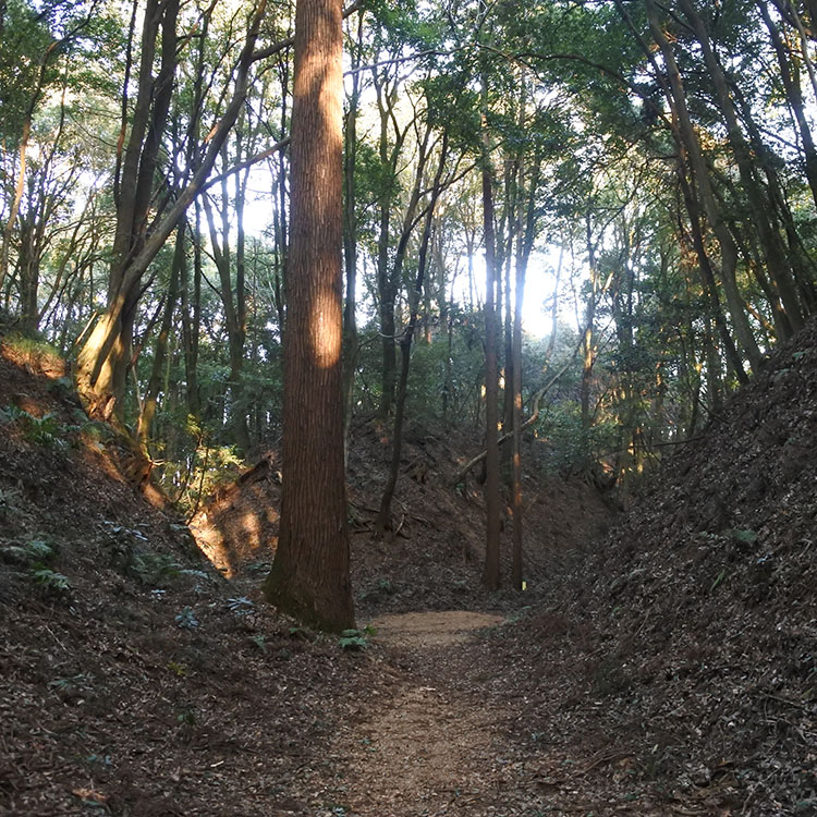 これぞ傑作、究極の“土の城”　茨城県・小幡城