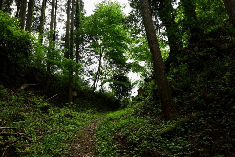 武節城、主郭裏側の堀切＝愛知県豊田市