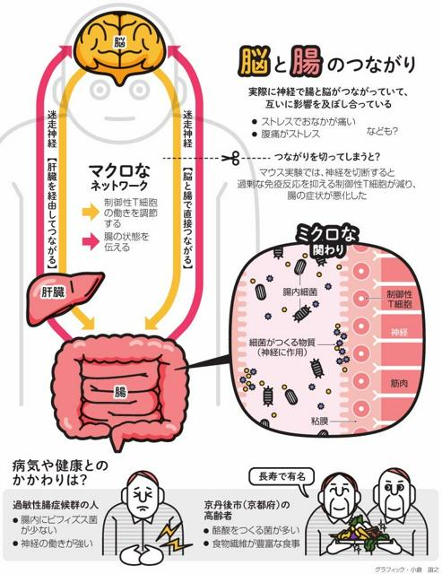 写真・図版