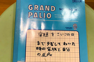 夏休み最終日に完成した自由研究　斬新すぎるテーマに圧倒されて