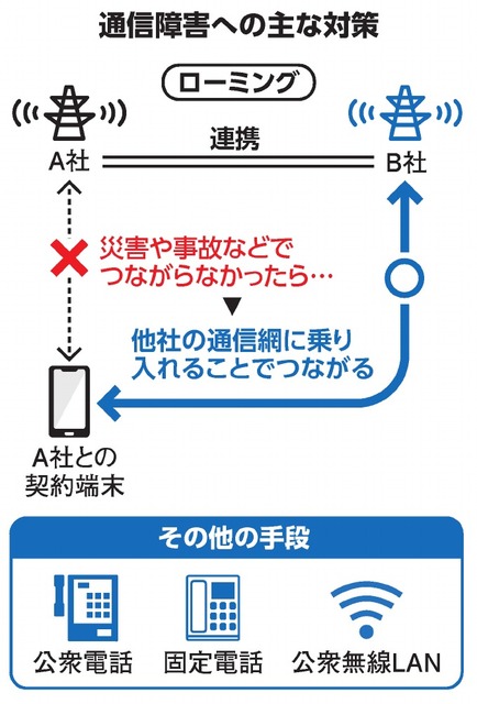 写真・図版