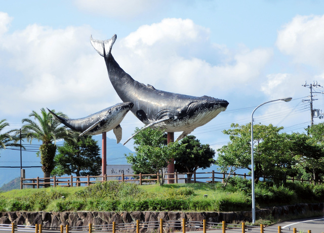 写真・図版