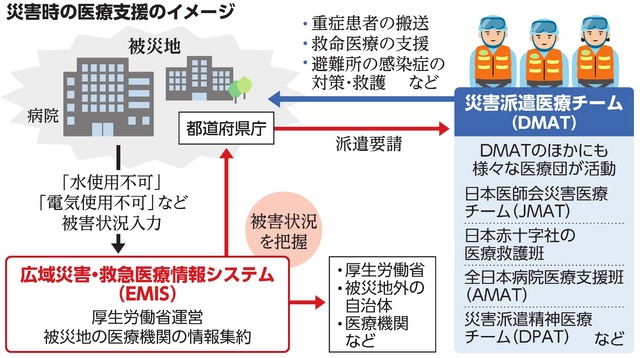 写真・図版