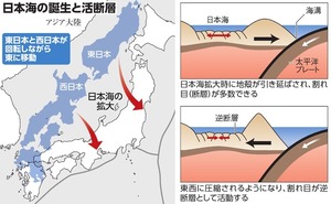 写真・図版