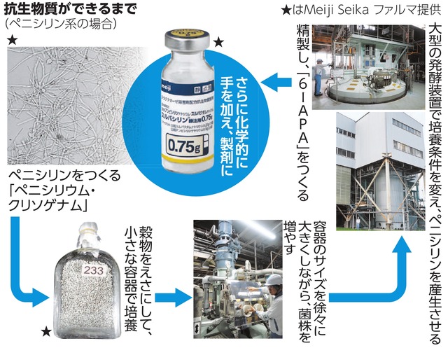 写真・図版