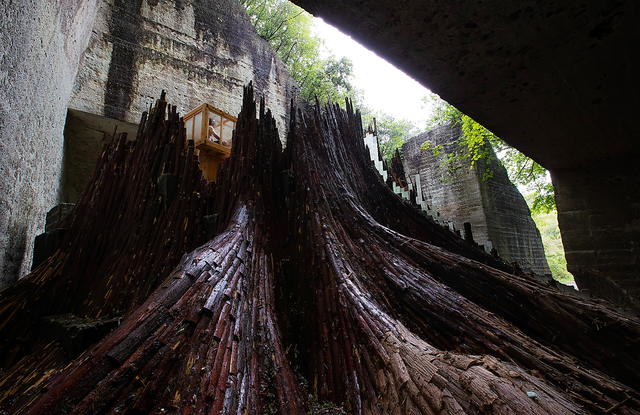 写真・図版