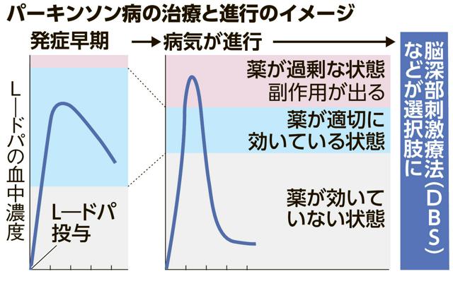 写真・図版