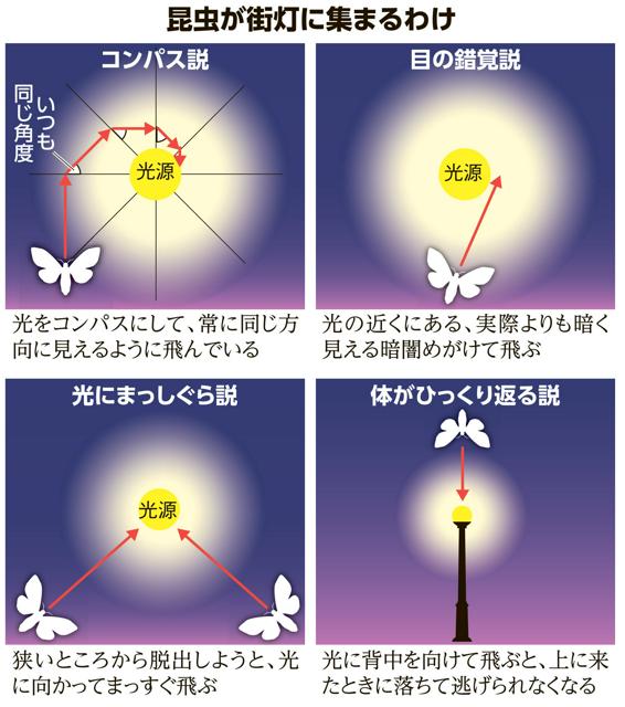 写真・図版