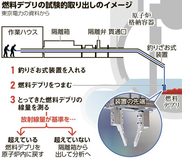 写真・図版