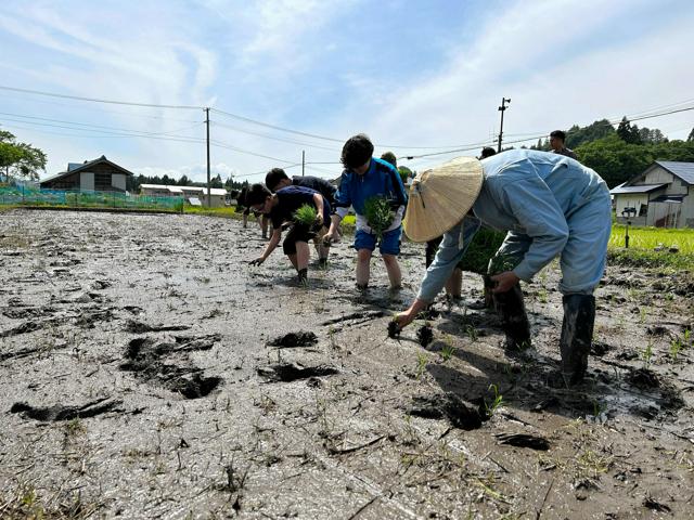 中山間地の暮らしを体験する実地学習では、福島県で田植えに挑戦した=N高提供