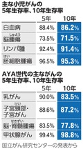 写真・図版