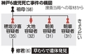 写真・図版