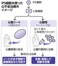 写真・図版