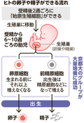 写真・図版