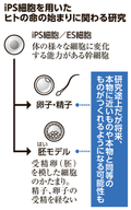 写真・図版