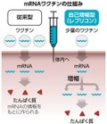 写真・図版