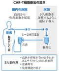 写真・図版