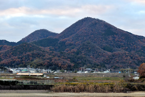 写真・図版