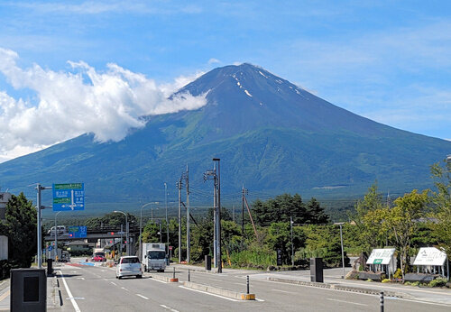 写真・図版