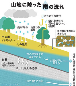 写真・図版