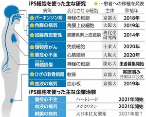 写真・図版