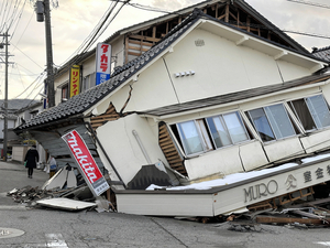 写真・図版