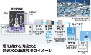 写真・図版