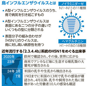 写真・図版